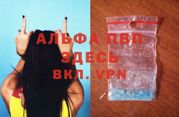 индика Лихославль
