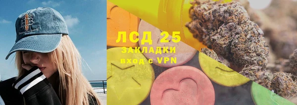 индика Лихославль