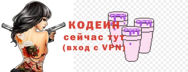 гидра Абаза