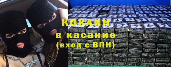 гидра Абаза