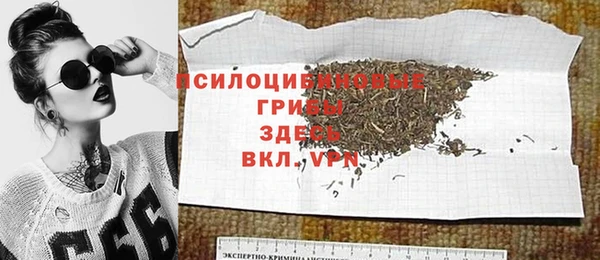 гидра Абаза