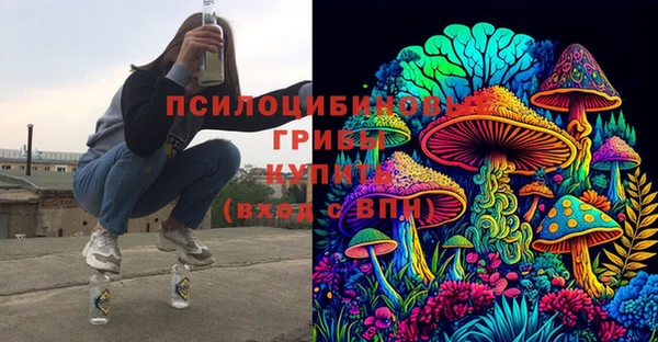 прущий лед Алексин