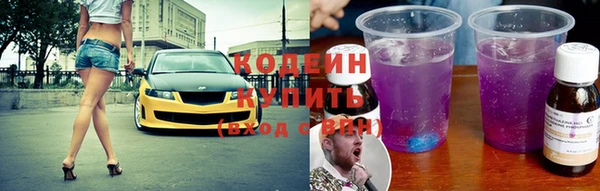 гидра Абаза