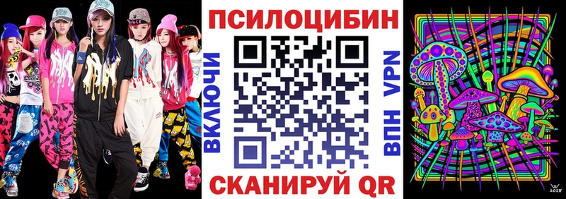Псилоцибиновые грибы Psilocybe  mega сайт  Одинцово  даркнет сайт 